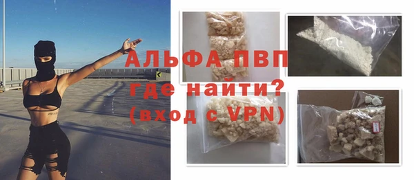 PSILOCYBIN Бородино
