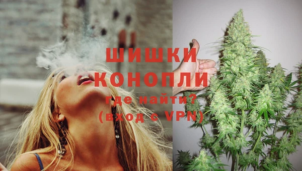 PSILOCYBIN Бородино