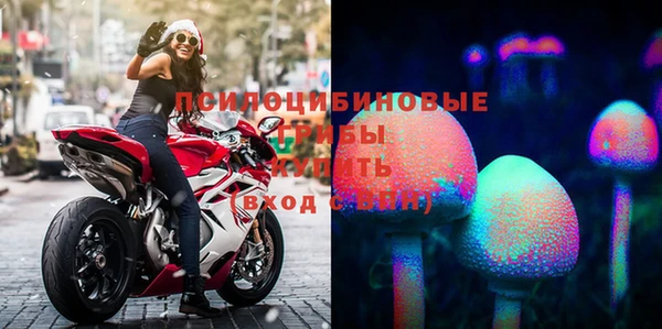 apvp Бугульма