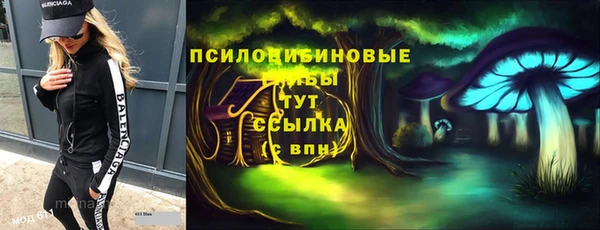 apvp Бугульма