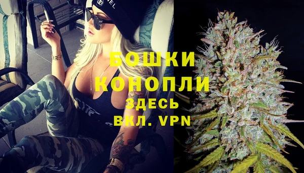 PSILOCYBIN Бородино